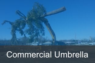 Commercial Umbrella-2