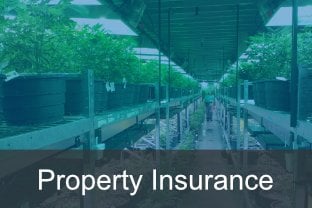 Property Insurance-Apr-23-2021-07-49-44-22-PM